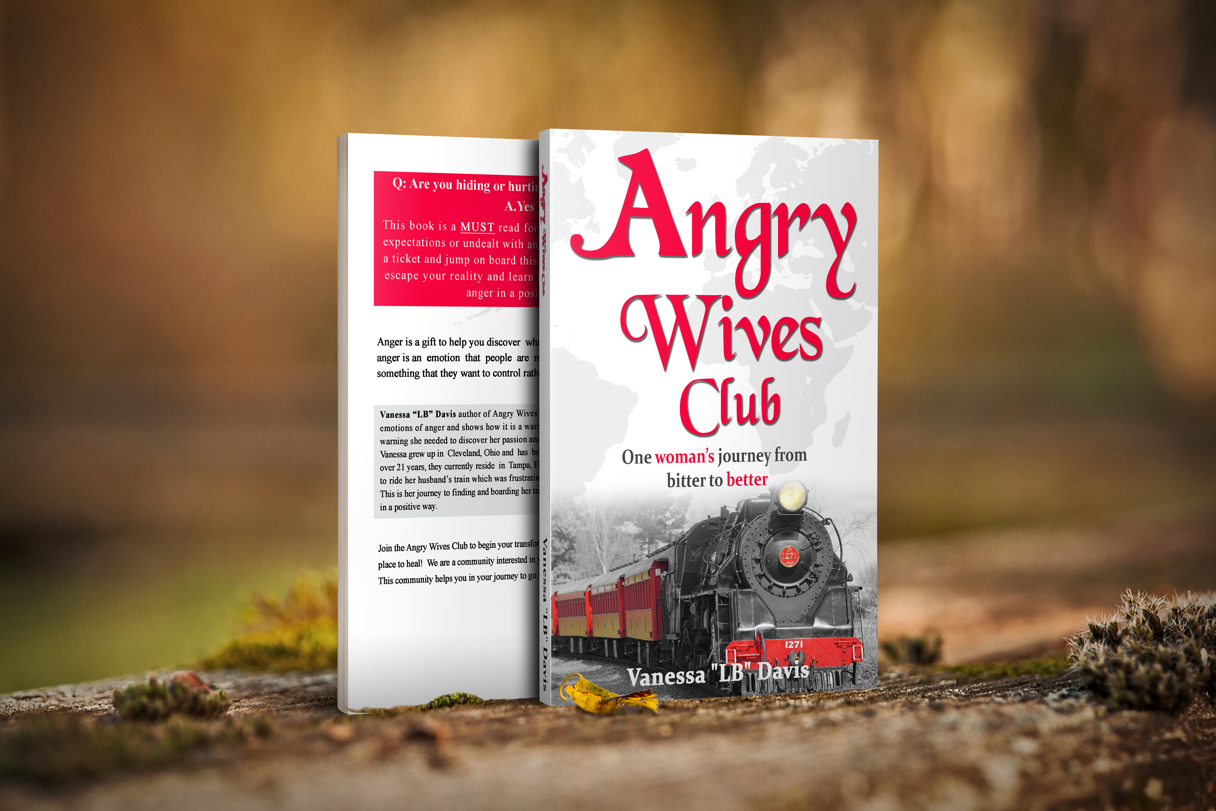 Angry Wives Club book by Vanessa LB Davis
